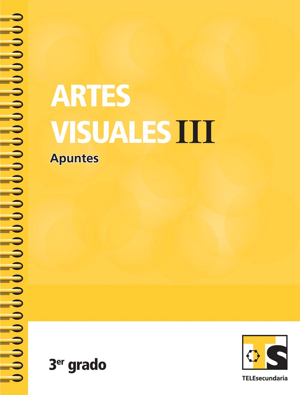 Artes Visuales III. Apuntes. , Editorial: Secretaría de Educación Pública, Nivel: Telesecundaria, Grado: 3