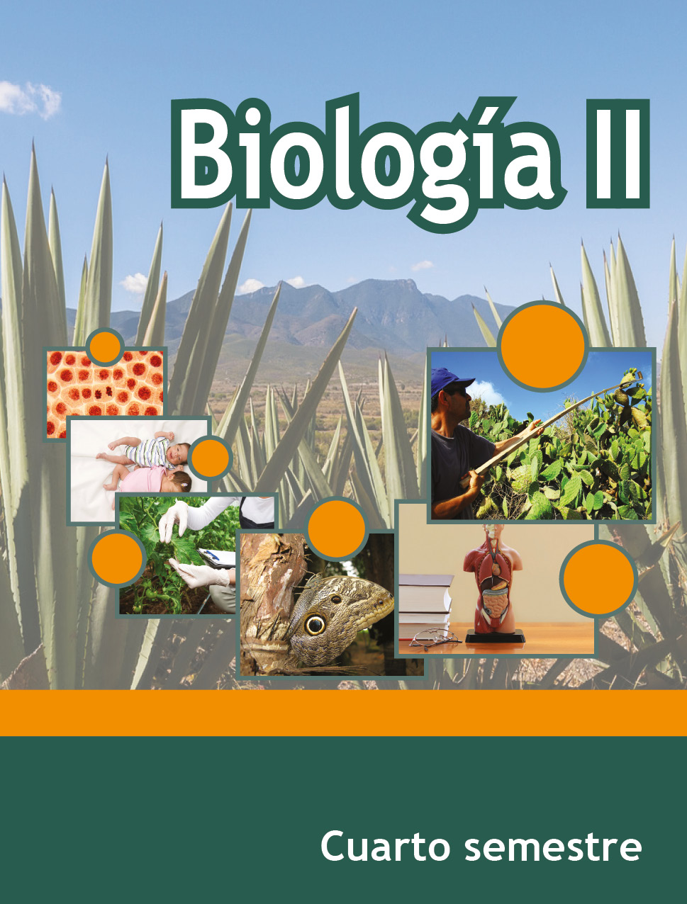 Biología II, Editorial: Secretaría de Educación Pública, Nivel: Telebachillerato, Grado: 4