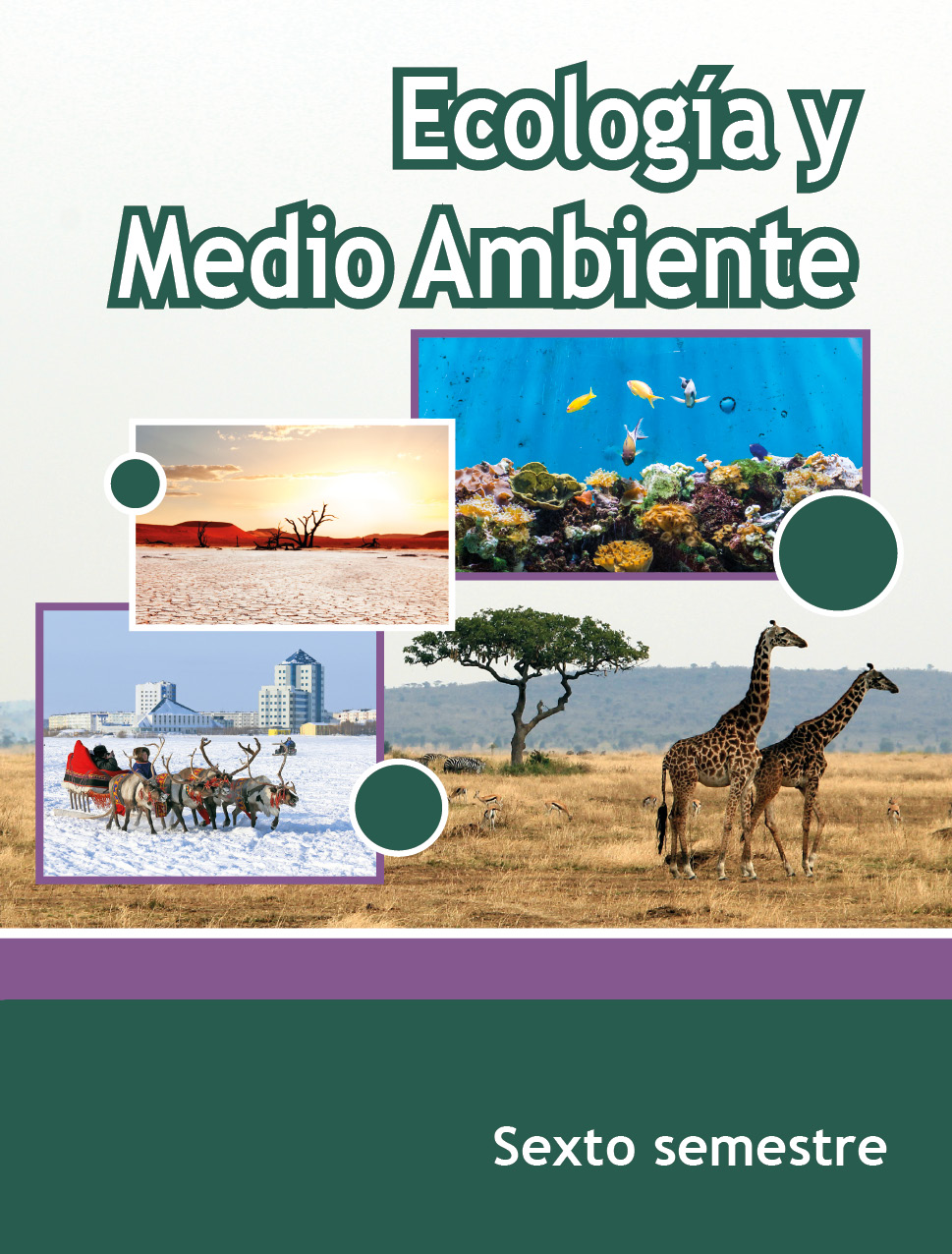 Ecología y Medio Ambiente, Editorial: Secretaría de Educación Pública, Nivel: Telebachillerato, Grado: 6